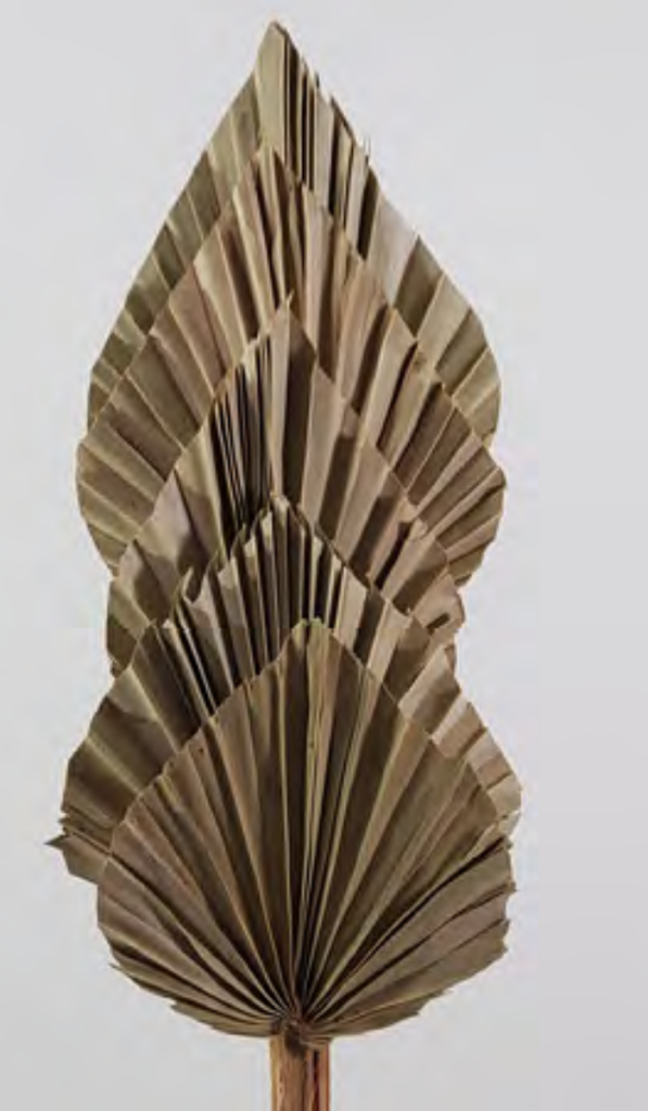 Palm Spears Natural
