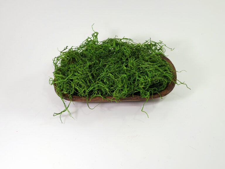 Spanish Moss - Light Green
